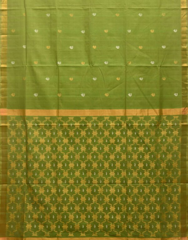 Green Uppada Cotton Handloom Saree